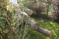 Click to see it big Impression aus dem Atelier